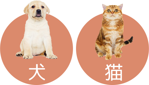 診療対象動物