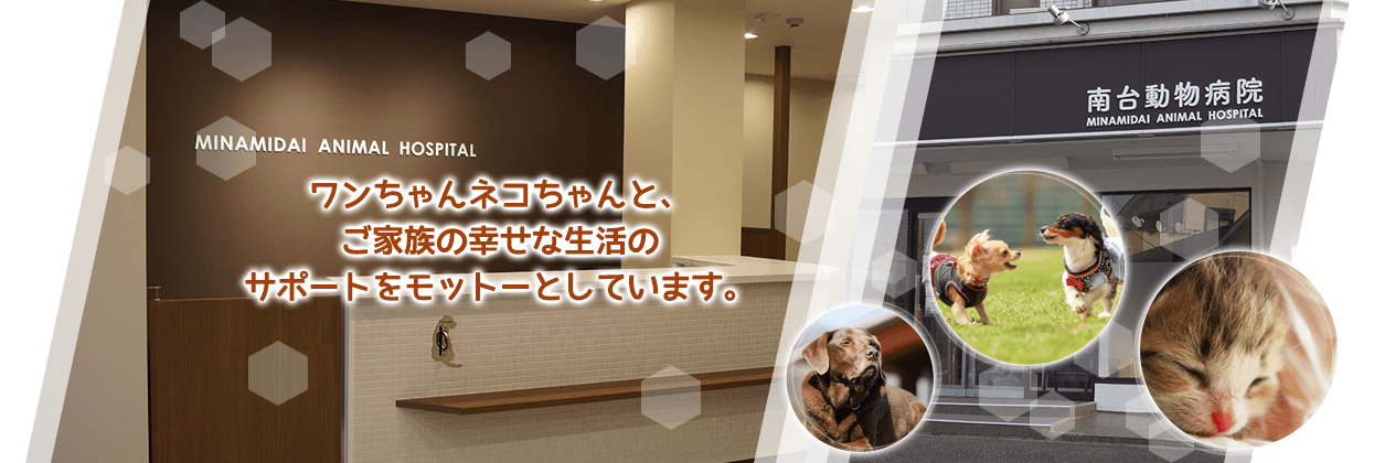 言葉は話せない。 だから、心で応えたい。