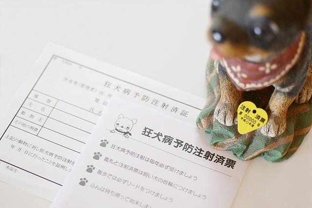 各種検査・予防接種